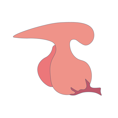 线粒体病基因检测，基因解码