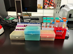 胰腺癌正确治疗，四种类型四种方案