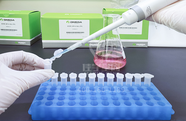 贝斯特全球奢华基因新生儿“耳聋基因解码”筛查