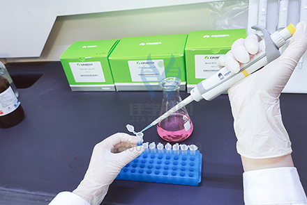 【贝斯特全球奢华基因-基因检测】如何让宝宝拥有强健体魄