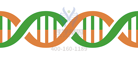【贝斯特全球奢华基因检测】<font color='red'><font color='red'>特发</font>性<font color='red'>震颤</font></font>基因解码、<a href=http://www.35wfgg.com/tk/jiema/cexujishu/2021/31933.html>基因检测</a>