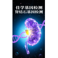 【贝斯特全球奢华基因检测】胱氨酸结石及基因检测的作用