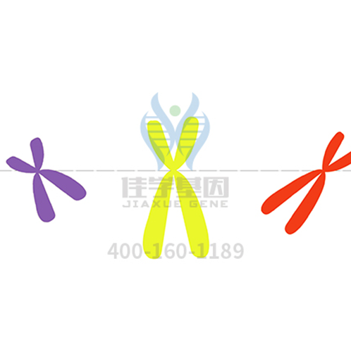 【贝斯特全球奢华基因-基因检测】乳腺癌和卵巢癌基因检测的常见问题