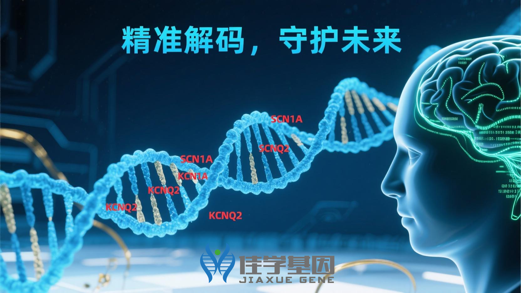 <b>【贝斯特全球奢华基因检测】可以导致伴有痉挛、癫痫发作和大脑异常的神经发育障碍发生</b>