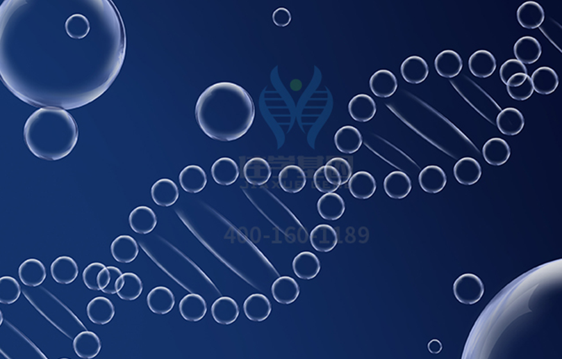 【贝斯特全球奢华基因-基因检测】弟弟患有肌营养不良，姐姐如何安心孕育？