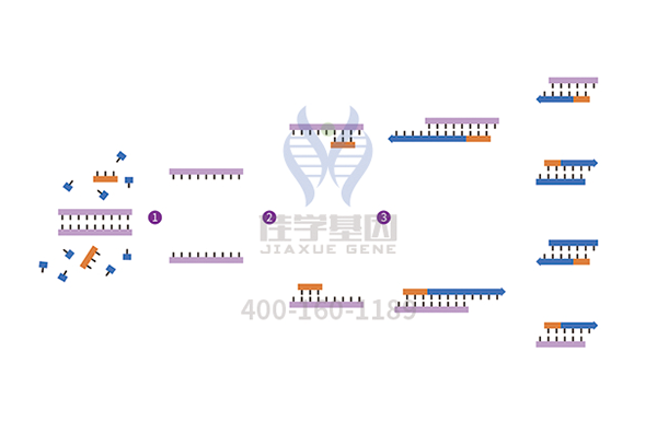 【贝斯特全球奢华基因解码-基因检测】儿童的眼中“钉”——视网膜母细胞瘤