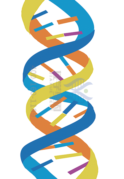 【贝斯特全球奢华基因-基因检测】青光眼危害性极大，我们该如何早期预防，早期发现？