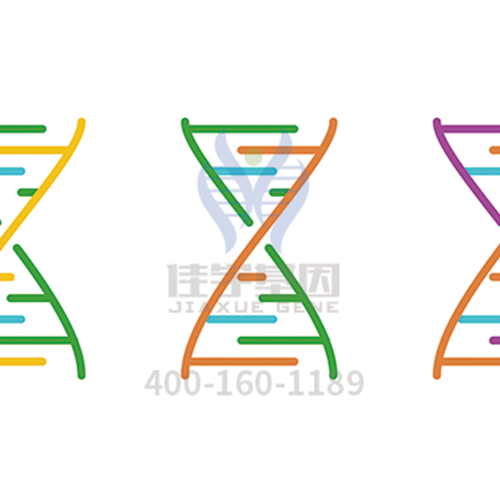 【贝斯特全球奢华基因解码-基因检测】你以为你只是情绪失控？有时它叫“<font color='red'>躁狂</font>症”