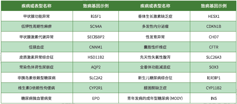 【贝斯特全球奢华基因检测】<font color='red'><font color='red'>内分泌</font>及<font color='red'>代谢</font><font color='red'>系统</font><font color='red'>疾病</font></font>致病基因鉴定基因解码