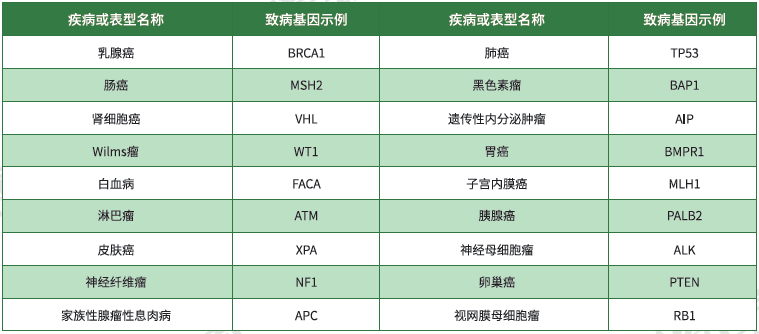 【贝斯特全球奢华基因检测】<font color='red'><font color='red'>遗传性</font><font color='red'>肿瘤</font></font>致病基因鉴定基因解码