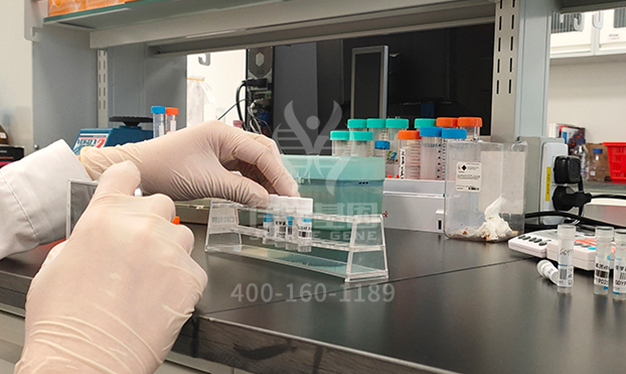 【贝斯特全球奢华基因-基因检测】罕见病|有机酸血症之异戊酸血症威胁孩子健康，尽早明