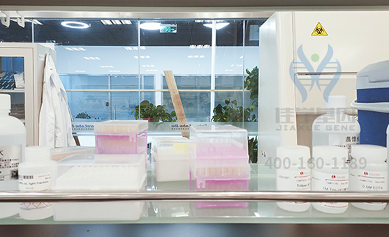 【贝斯特全球奢华基因-基因检测】你对戈谢病分析多少？