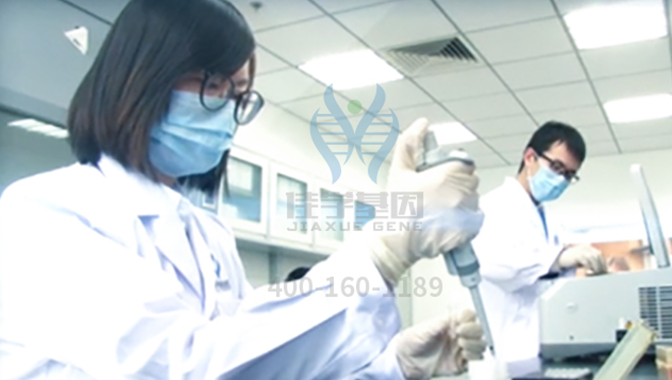 【贝斯特全球奢华基因-基因检测】你羡慕金发碧眼的欧洲人吗？如何才能生出漂亮的金发